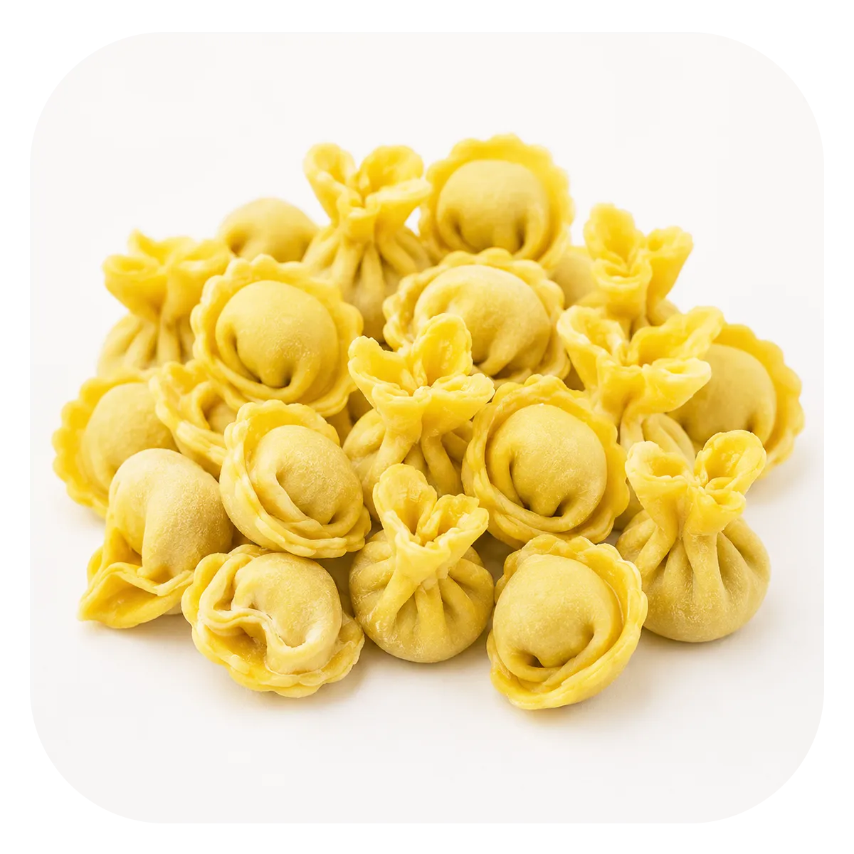 Tortelloni - Handmade Filled Pasta - Frozen